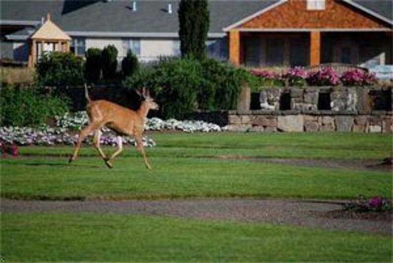 Oregon Garden Resort Silverton Zewnętrze zdjęcie